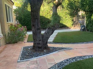 Jerome M.'s turf care service result
