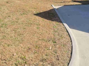 A D.'s lawn maintenance service result