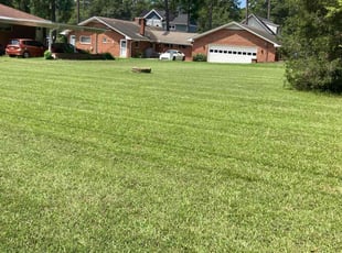 Robert H.'s lawn maintenance service result