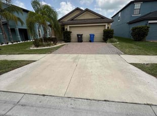 Shalon E.'s turf care service result