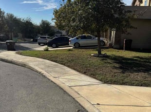 Daniela L.'s grass cutting service result