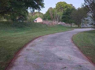 Ambigai M.'s lawn care service result