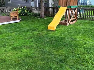 Thomas H.'s grass cutting service result