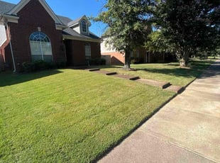 Laura L.'s lawn care service result