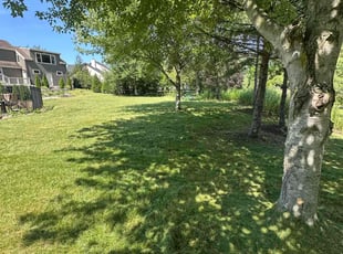 Andrea M.'s turf maintenance service result