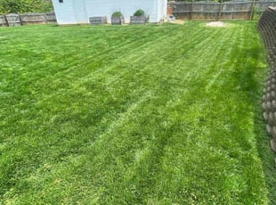 Shaun h.'s grass maintenance service result