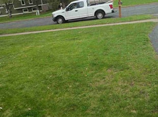 Michael M.'s grass maintenance service result