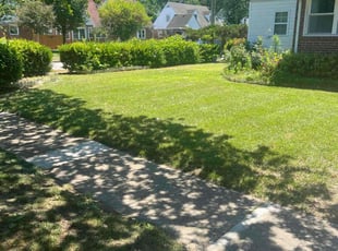 Janna B.'s turf care service result