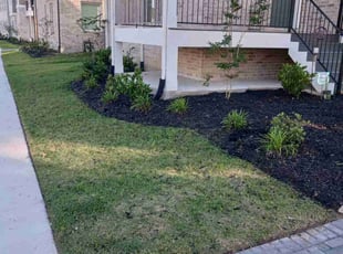Latoya B.'s grass maintenance service result