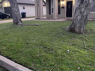 Nick R.'s turf care service result
