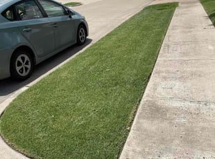 Ronald L.'s lawn care service result