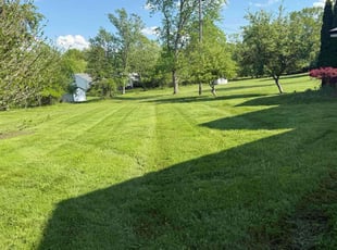 Kelli L.'s turf maintenance service result
