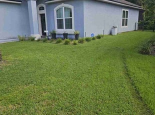 Tripti S.'s turf maintenance service result