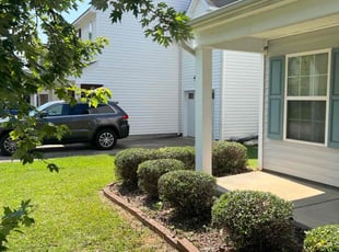Mr D.'s Bush Trimming service result
