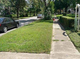 Linda P.'s lawn maintenance service result