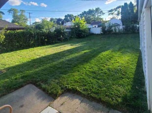 Akshay B.'s grass maintenance service result