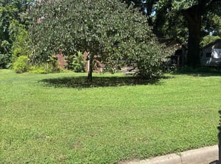 Jamie S.'s lawn service service result