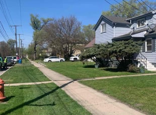 Tracey G.'s grass cutting service result