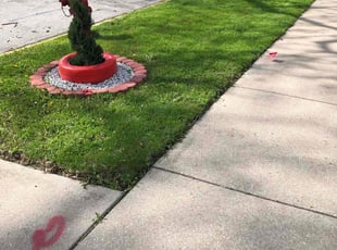 Caleb W.'s lawn service service result