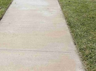 Connie D.'s grass cutting service result