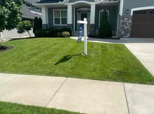 Michelle M.'s grass cutting service result
