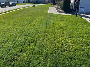 Cynthia S.'s lawn care services service result