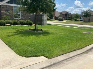 Linda L.'s turf care service result