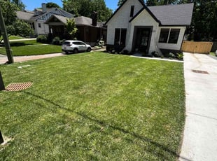 Olivia W.'s grass cutting service result