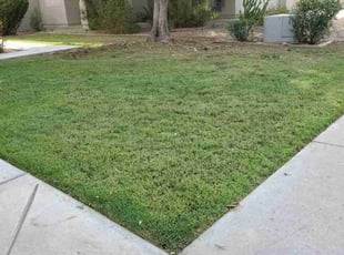Becky B.'s lawn care services service result
