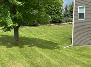 Patrick M.'s lawn care services service result