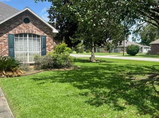 Shirlane S.'s turf care service result