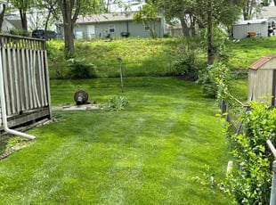 Steve W.'s turf maintenance service result