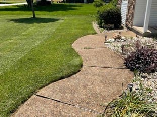 Sandra T.'s turf maintenance service result