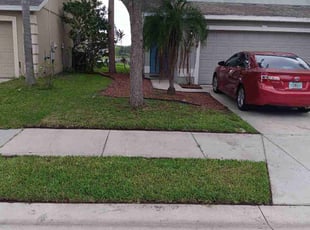 Helen B.'s turf maintenance service result