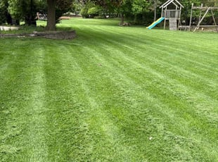 Robert H.'s lawn service service result