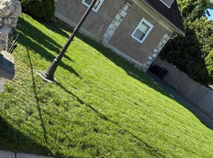 Jim D.'s lawn care services service result