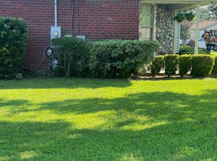 Stephanie B.'s Bush Trimming service result