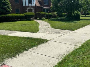 Beola M.'s turf maintenance service result