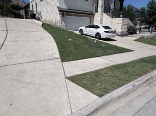 Gabriel G.'s lawn service service result
