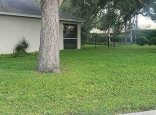 Ryan H.'s lawn care services service result