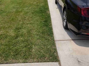 William H.'s lawn care services service result