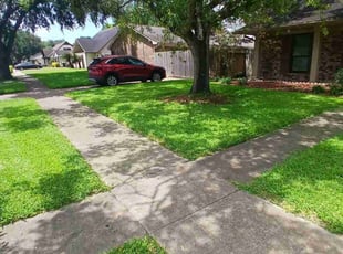 Raymond M.'s lawn care services service result
