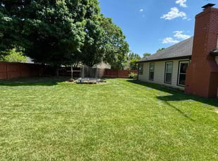 Kenneth B.'s lawn care service result