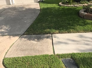 Larry K.'s turf care service result