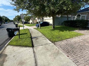 Chazzlen J.'s turf care service result