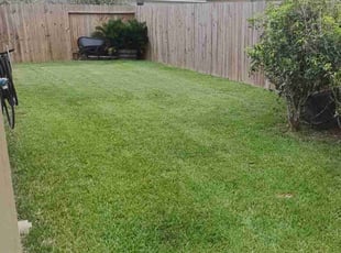 Lynda B.'s grass cutting service result