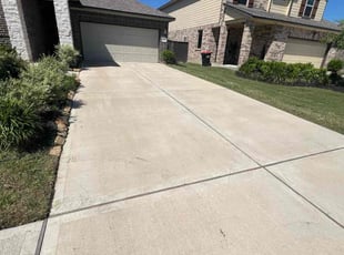 Michele B.'s turf care service result