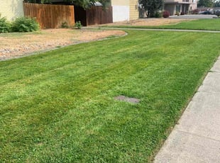 Dinah L.'s lawn maintenance service result