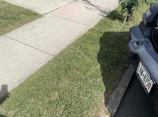 William C.'s lawn maintenance service result