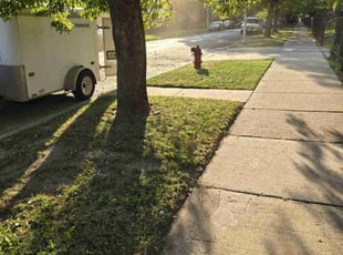 Roger W.'s grass maintenance service result